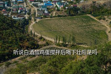 聽說白酒加雞蛋攪拌后喝下壯陽是嗎