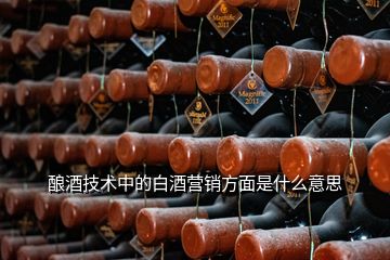 釀酒技術中的白酒營銷方面是什么意思