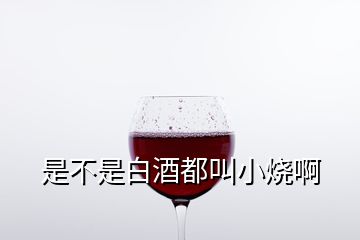 是不是白酒都叫小燒啊