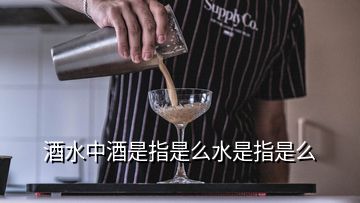 酒水中酒是指是么水是指是么