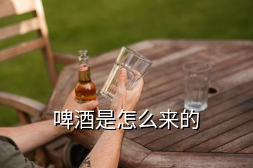 啤酒是怎么來的