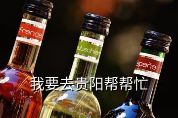 我要去貴陽幫幫忙