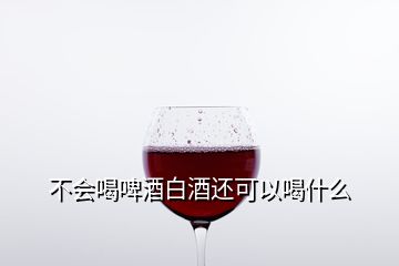 不會(huì)喝啤酒白酒還可以喝什么