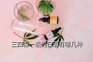 三四百一瓶的白酒有哪幾種