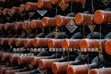 我想開一個(gè)白酒 釀酒廠 需要投資多少錢 什么設(shè)備 和釀酒流程 謝謝百度