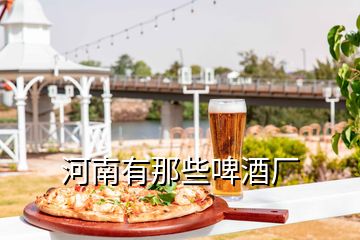 河南有那些啤酒廠