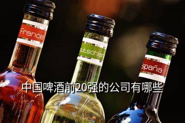 中國啤酒前20強的公司有哪些