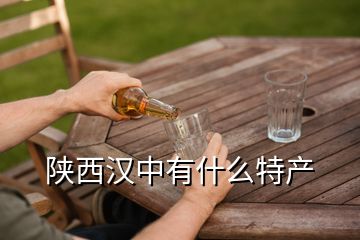 陜西漢中有什么特產(chǎn)