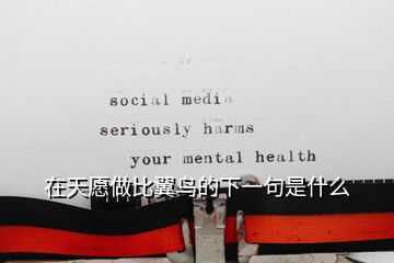 在天愿做比翼鳥的下一句是什么