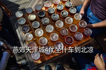 燕郊天洋城4代坐什車(chē)到北涼