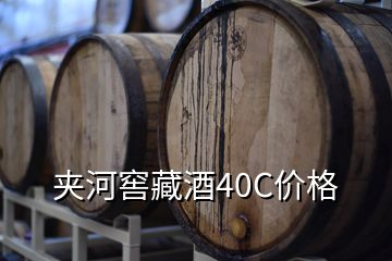 夾河窖藏酒40C價(jià)格