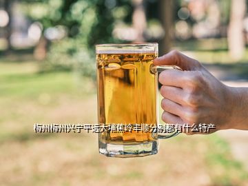 梅州梅州興寧平遠(yuǎn)大埔蕉嶺豐順分別都有什么特產(chǎn)