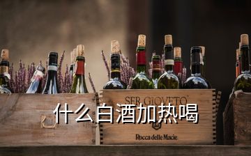 什么白酒加熱喝