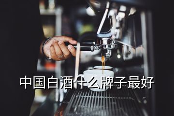 中國(guó)白酒什么牌子最好