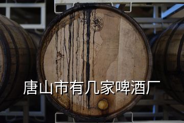 唐山市有幾家啤酒廠