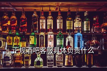 正規(guī)酒吧客服具體負(fù)責(zé)什么