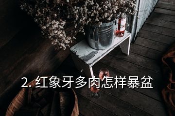 2. 紅象牙多肉怎樣暴盆