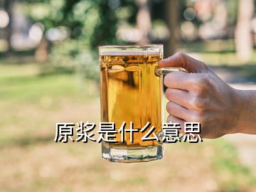 原漿是什么意思