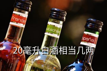 20毫升白酒相當幾兩