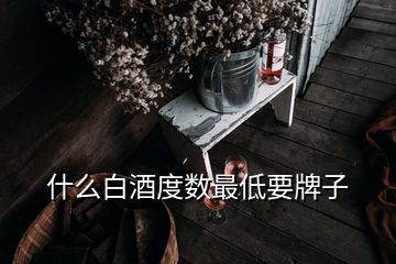 什么白酒度數(shù)最低要牌子