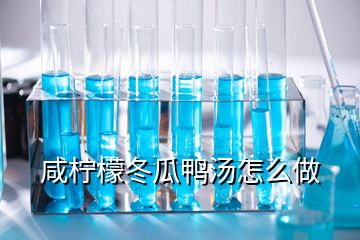 咸檸檬冬瓜鴨湯怎么做