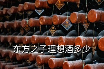 東方之子理想酒多少