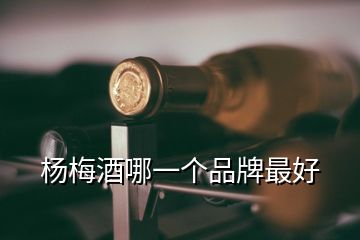 楊梅酒哪一個品牌最好