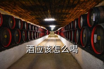 酒應該怎么喝