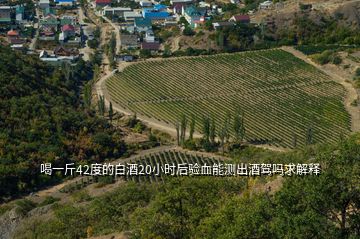 喝一斤42度的白酒20小時后驗血能測出酒駕嗎求解釋