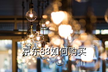 京東88如何購買