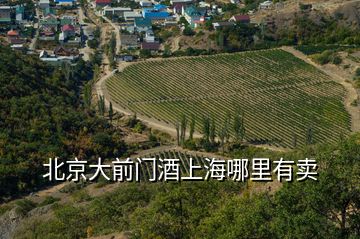 北京大前門酒上海哪里有賣