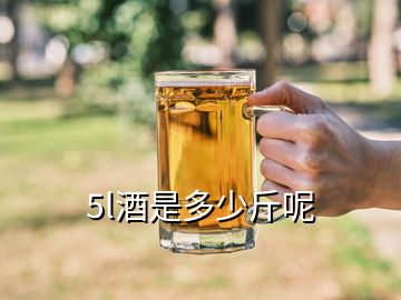 5l酒是多少斤呢