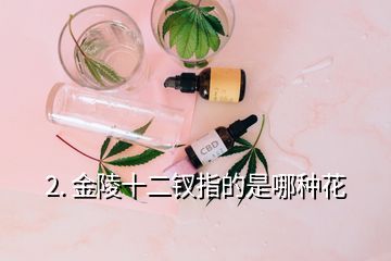 2. 金陵十二釵指的是哪種花