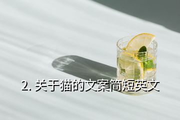 2. 關(guān)于貓的文案簡(jiǎn)短英文