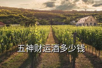 五神財(cái)運(yùn)酒多少錢(qián)