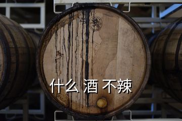 什么 酒 不辣