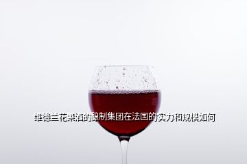 維德蘭花果酒的釀制集團在法國的實力和規(guī)模如何