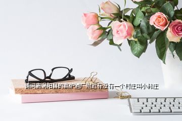 請問離渦陽縣的高爐酒廠附近有沒有一個村莊叫小韓莊