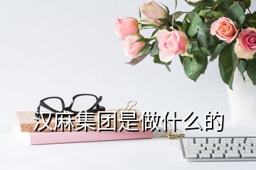 漢麻集團(tuán)是做什么的