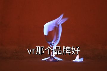 vr那個品牌好