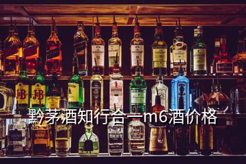 黔茅酒知行合一m6酒價格