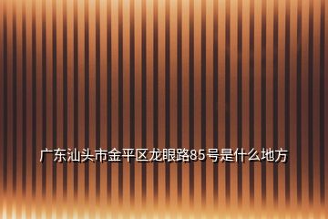 廣東汕頭市金平區(qū)龍眼路85號是什么地方