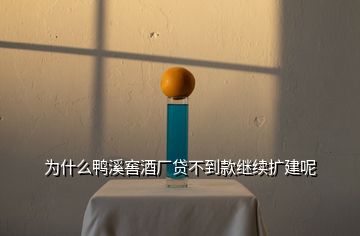 為什么鴨溪窖酒廠貸不到款繼續(xù)擴(kuò)建呢