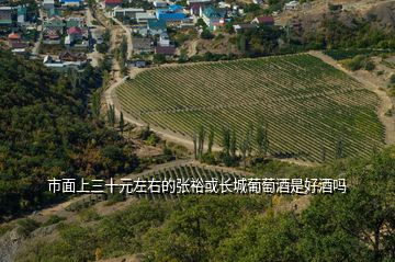 市面上三十元左右的張?；蜷L城葡萄酒是好酒嗎