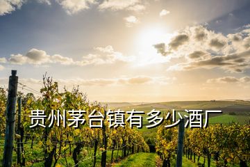 貴州茅臺(tái)鎮(zhèn)有多少酒廠