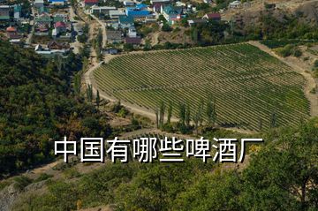 中國(guó)有哪些啤酒廠