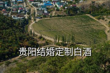 貴陽結(jié)婚定制白酒