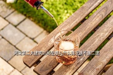 河南第二大建筑公司在哪兒什么情況是不是二建