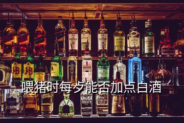 喂豬時(shí)每歺能否加點(diǎn)白酒