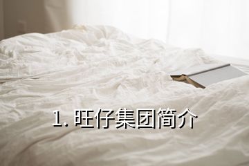 1. 旺仔集團簡介